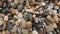 A close-up of a pile of pebbles