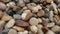 A close-up of a pile of pebbles