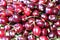 Close up of pile of ripe dark red cherries
