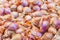 Close up of a pile of small, purple shallots being  sold at a farmer`s market. Skin is dry and peeling but these scallions are fre