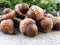 A close-up of a pile of stacked acorns