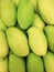 Close up pile of Thai green mangoes, top view green mango, vertical image