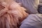 close-up of pillow fluffiness on a made bed