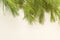 Close up of pine needles or boughs, on white with lots of room for type or copy or a greeting.