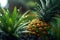 close-up of pineapple in rain with natural blurred background