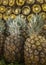 Close up of pineapples at a local market.