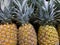 Close-Up Of Pineapples For Sale