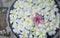 Close up of pink franjipani plumeria flower floating among white flower on water in wooden basin at thai spa,selective focus