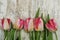 Close Up of Pink Fresh Spring Bouquet of Tulip flowers over Rustic Gray Wooden Background with Copy space. Spring Time.