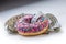 Close-up pink frosted donut with white tailor measure tape