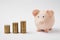 Close up of pink piggy money bank, stacks of golden coins isolated on white wall background. Money accumulation