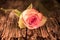 Close-up Of Pink Tinted Rose And Stem Sits On Antique Wood