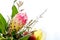 Close up of pink and yellow protea flower against white background