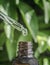 Close-up of a pipette dripping into a bottle. Dropper with hyaluronic liquid or essential oil. Liquid drips into a bottle