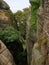 Close up of the Plants on the Sandstone and Conglomerate Rocks of Meteora