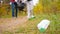 Close-up of a plastic bottle in the grass against the background of a couple collecting garbage in the forest