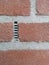 Close-up of a plastic grid between bricks