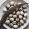 Close-up plate with quail eggs Photo