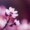 Close up plum blossom flower, created with generative AI technology