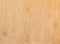 Close up plywood background texture