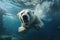 close-up of a polar bear diving into freezing sea