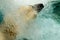 Close up of Polar bear splash the water from its feather after diving underwater