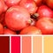 Close up of pomegranate on market . color palette swatches.