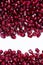 Close up of pomegranate seeds