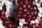 Close up of Pomegrate with Seeds Exposed on White background