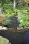 A close up of a pond split into two levels, surrounded by shrubs, ferns trees and grass and a lovely bridge in the background