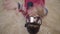 Close up portrait of adorable african american boy lying on the floor on the beige fluffy carpet with ski goggles on his