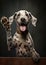 Close up portrait of a adorable purebred dalmatian dog raising up his front paw.Funny puppy showing tongue, mouth open