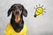 Close up portrait of adorable short-haired dachshund, wearing vibrant yellow t-shirt with drawn electric lamp lighting and smiling