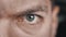 Close-up portrait of angry man's eye. Aggressive male's eyes blinking and looking seriously at camera.
