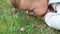 close-up portrait baby boy child watching garden snail crawling green grass