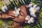 Close up portrait of beautiful woman with frangipani flowers