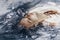 Close up portrait of beautiful woman lying in water with fabric.