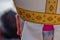 close-up portrait from behind of the head of a catholic bishop
