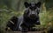 Close up portrait of black jaguar resting