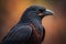 Close up portrait of a black raven, Corvus corax. ai generative