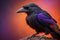 Close up portrait of a black raven, Corvus corax. ai generative