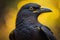 Close up portrait of a black raven, Corvus corax. ai generative