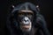 Close-up portrait of a chimpanzee with a contemplative expression, Generated AI