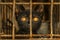 Close up Portrait of a Curious Black Kitten with Bright Orange Eyes Peering Through Rusty Cage Bars