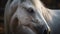 Close up portrait of a cute horse grazing in a meadow generated by AI