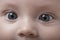 close up portrait of cute little baby