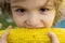 Close-up portrait of cute little child eating yellow sweet corncob corn. Farming and autumn crops concept.