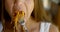 Close-up portrait of a dark-haired middle-aged woman sitting at a table, she eats, in front of her plate of salad, she