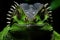 Close-up Portrait of Expressive Dragon in Lush Green Jungle Environment with Anamorphic Lens