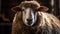 A close-up portrait of a fluffy sheep captured. Generative AI
